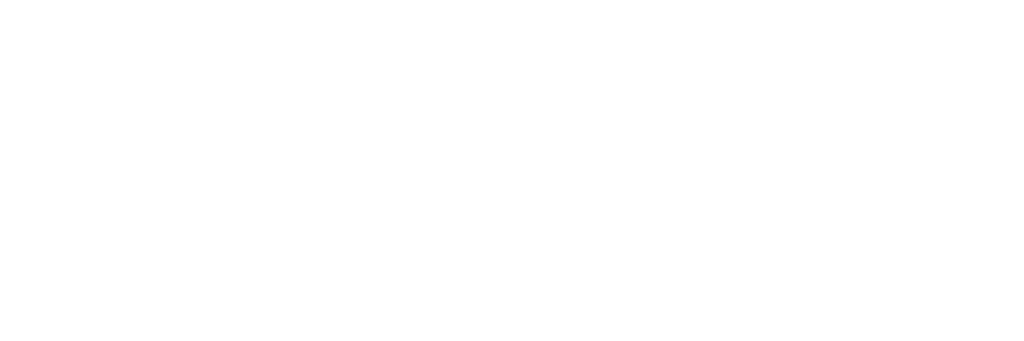 Balanced Bites